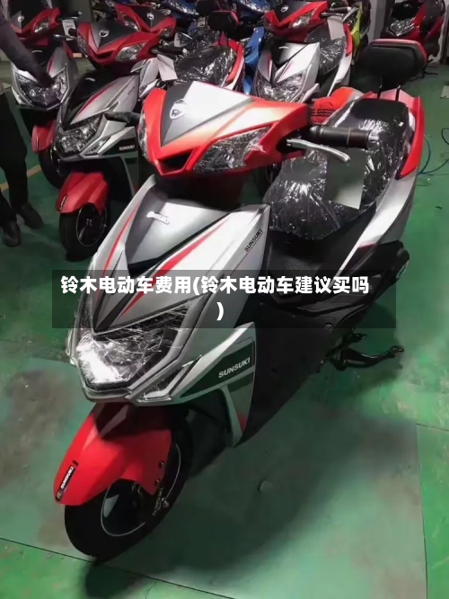 铃木电动车费用(铃木电动车建议买吗)