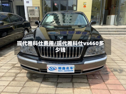 现代雅科仕费用/现代雅科仕vs460多少钱-第2张图片