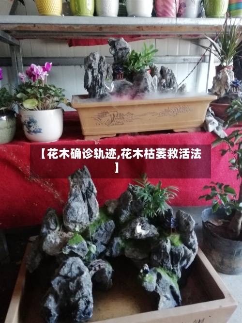 【花木确诊轨迹,花木枯萎救活法】