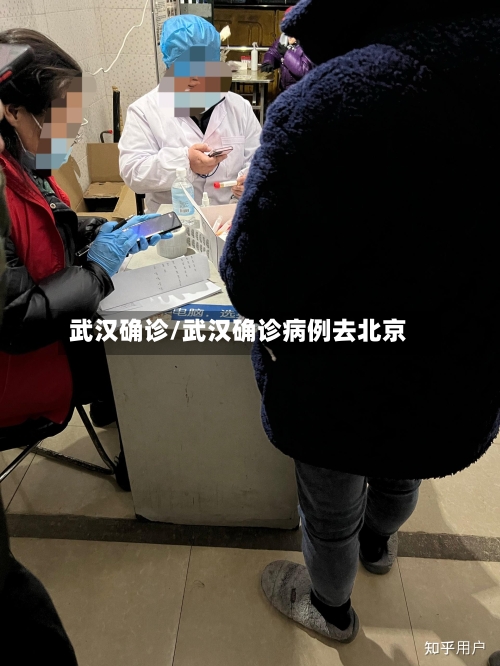 武汉确诊/武汉确诊病例去北京