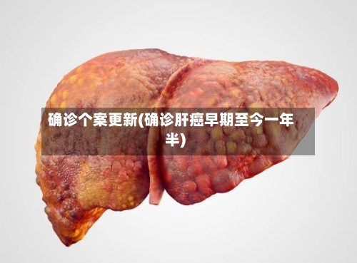 确诊个案更新(确诊肝癌早期至今一年半)-第2张图片
