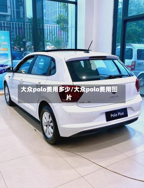 大众polo费用多少/大众polo费用图片-第2张图片