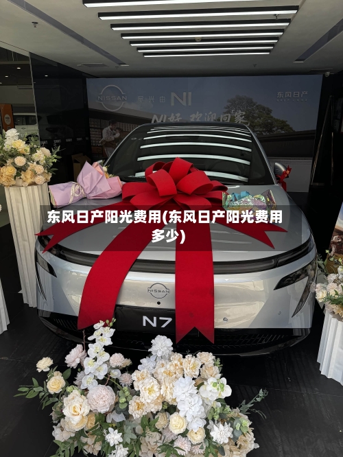 东风日产阳光费用(东风日产阳光费用多少)-第3张图片
