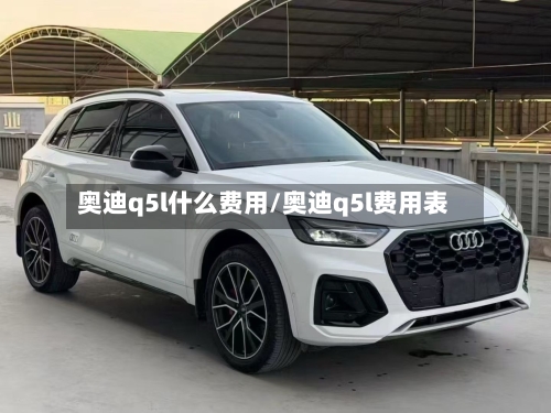 奥迪q5l什么费用/奥迪q5l费用表-第2张图片