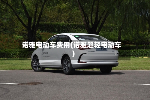 诺雅电动车费用(诺雅超轻电动车)