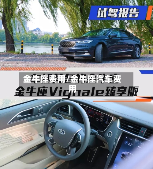 金牛座费用/金牛座汽车费用-第2张图片