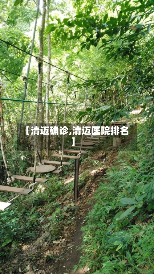 【清迈确诊,清迈医院排名】-第2张图片