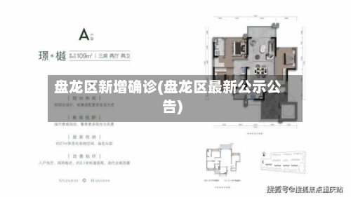盘龙区新增确诊(盘龙区最新公示公告)