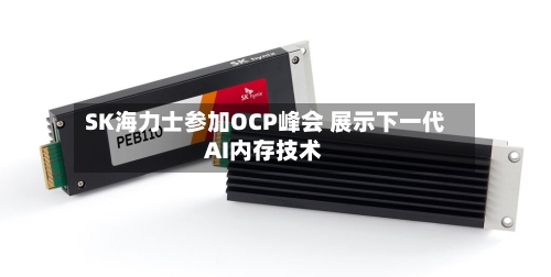SK海力士参加OCP峰会 展示下一代AI内存技术-第3张图片