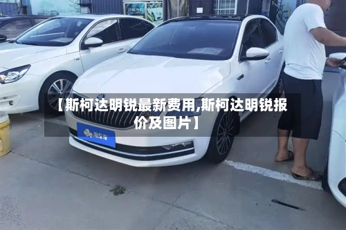 【斯柯达明锐最新费用,斯柯达明锐报价及图片】-第3张图片