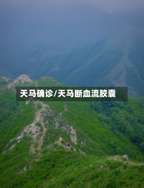 天马确诊/天马断血流胶囊-第3张图片