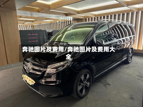 奔驰图片及费用/奔驰图片及费用大全-第2张图片