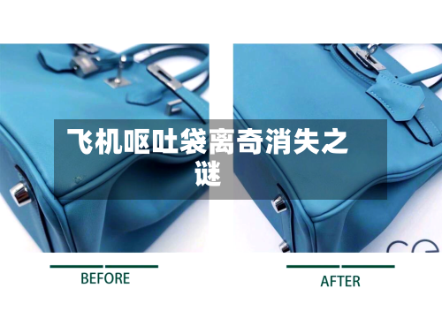飞机呕吐袋离奇消失之谜
