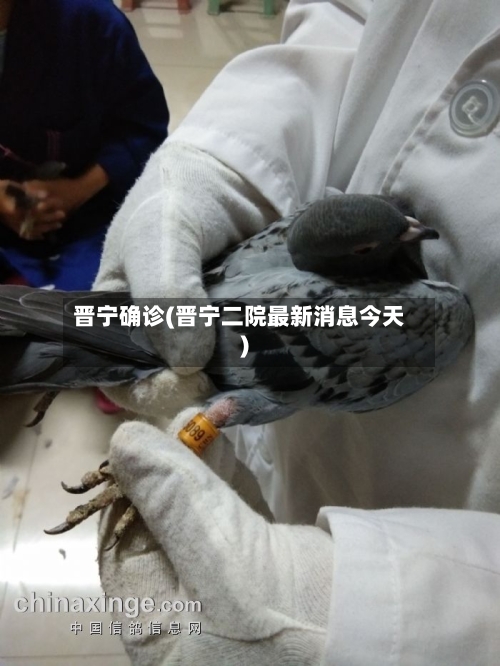 晋宁确诊(晋宁二院最新消息今天)