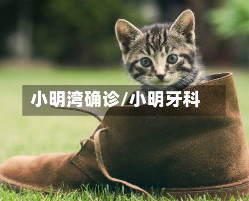 小明湾确诊/小明牙科-第2张图片