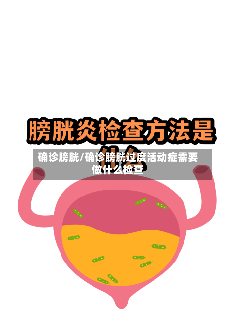 确诊膀胱/确诊膀胱过度活动症需要做什么检查-第3张图片