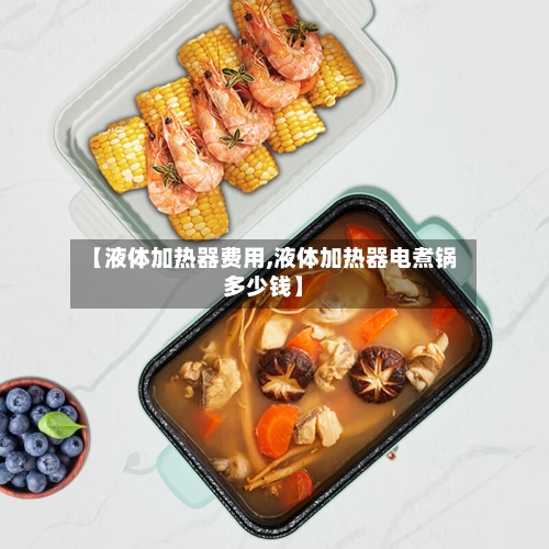 【液体加热器费用,液体加热器电煮锅多少钱】-第1张图片