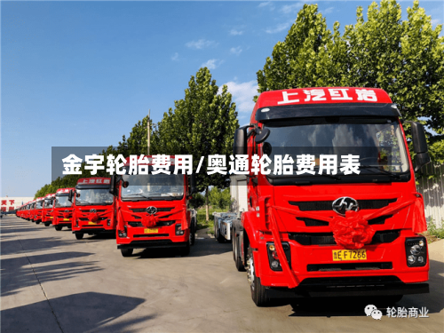金宇轮胎费用/奥通轮胎费用表