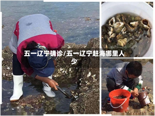 五一辽宁确诊/五一辽宁赶海哪里人少-第2张图片