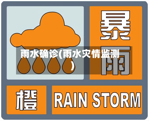 雨水确诊(雨水灾情监测)-第1张图片