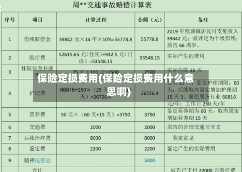 保险定损费用(保险定损费用什么意思啊)-第3张图片
