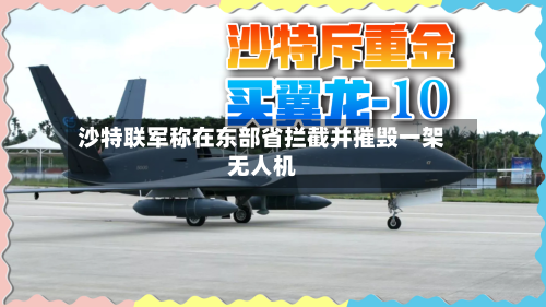 沙特联军称在东部省拦截并摧毁一架无人机-第2张图片