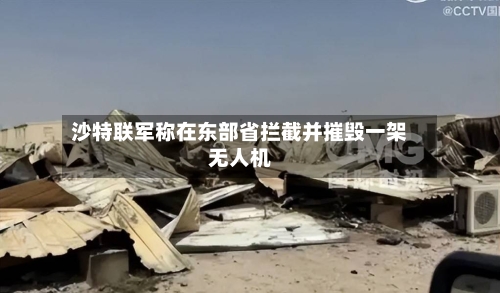 沙特联军称在东部省拦截并摧毁一架无人机