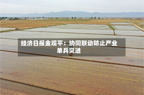 经济日报金观平：协同联动防止产业单兵突进