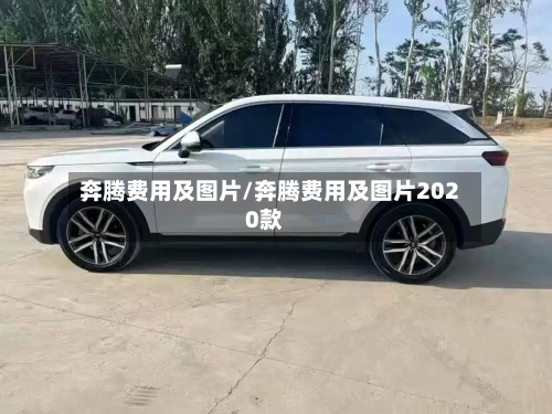 奔腾费用及图片/奔腾费用及图片2020款-第2张图片