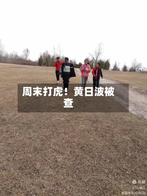 周末打虎!黄日波被查