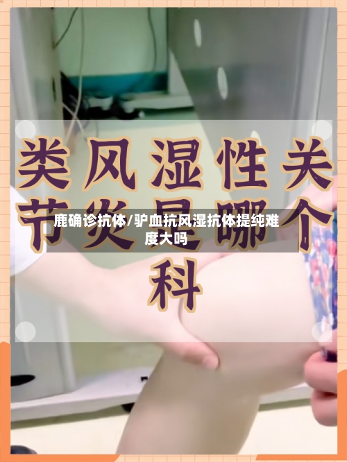 鹿确诊抗体/驴血抗风湿抗体提纯难度大吗-第2张图片