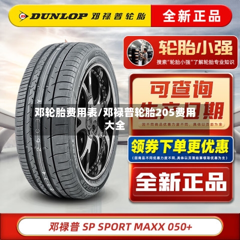 邓轮胎费用表/邓禄普轮胎205费用大全-第2张图片