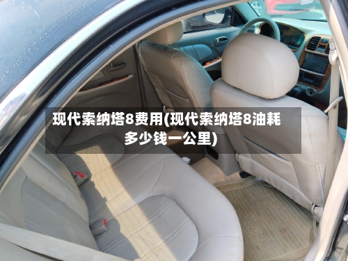 现代索纳塔8费用(现代索纳塔8油耗多少钱一公里)-第2张图片