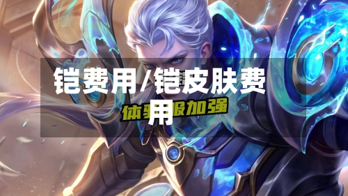 铠费用/铠皮肤费用
