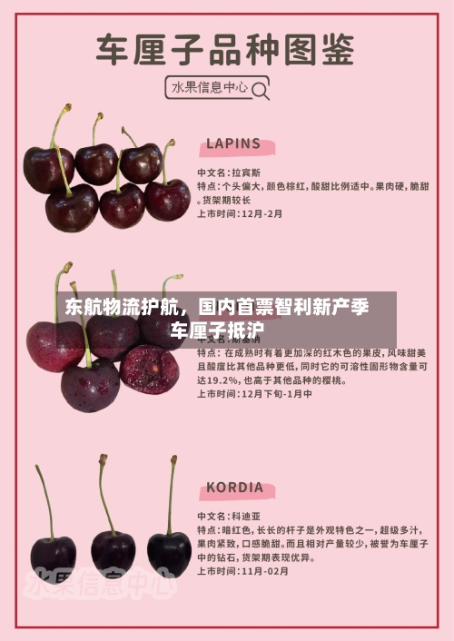 东航物流护航，国内首票智利新产季车厘子抵沪-第2张图片
