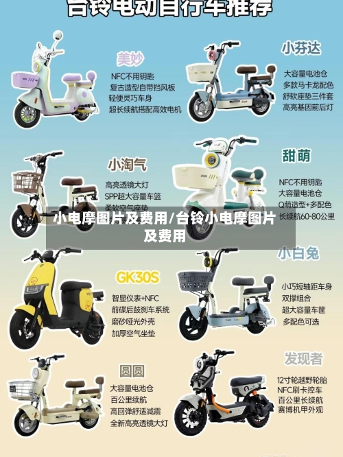 小电摩图片及费用/台铃小电摩图片及费用-第2张图片