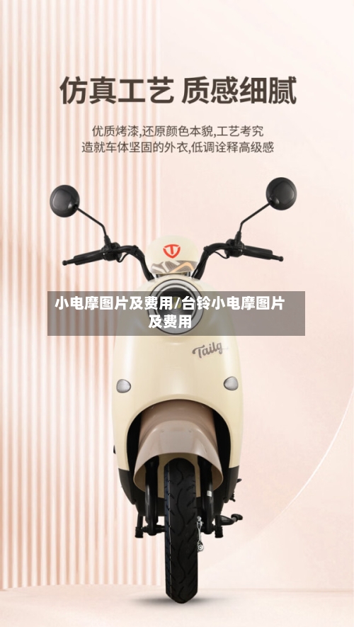 小电摩图片及费用/台铃小电摩图片及费用