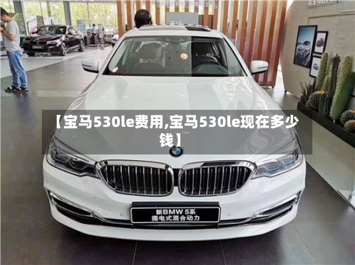 【宝马530le费用,宝马530le现在多少钱】