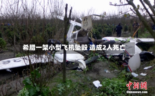 希腊一架小型飞机坠毁 造成2人死亡