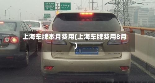 上海车牌本月费用(上海车牌费用8月)