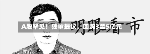 A股罕见！独董提议，回购3至5亿元-第2张图片