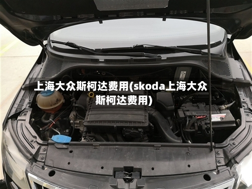 上海大众斯柯达费用(skoda上海大众斯柯达费用)