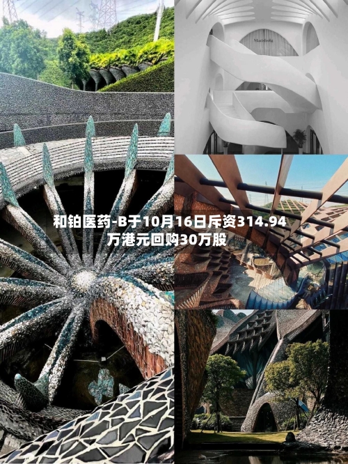 和铂医药-B于10月16日斥资314.94万港元回购30万股-第1张图片