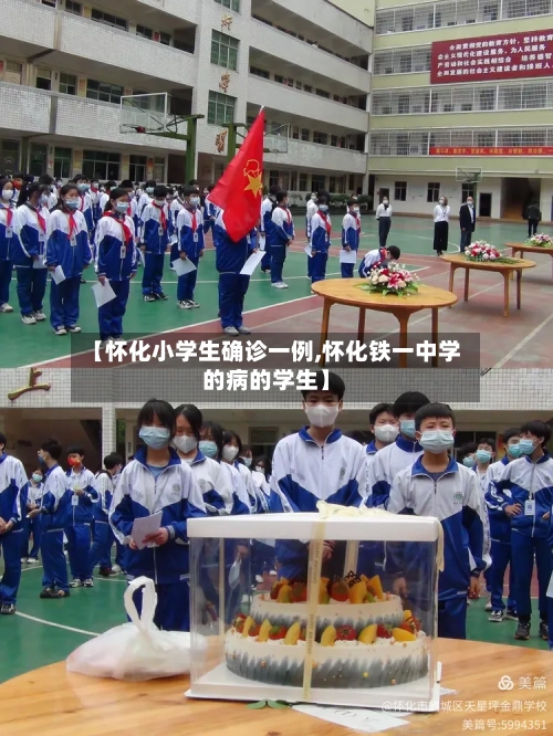 【怀化小学生确诊一例,怀化铁一中学的病的学生】-第3张图片