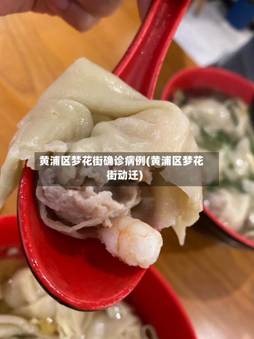 黄浦区梦花街确诊病例(黄浦区梦花街动迁)-第3张图片