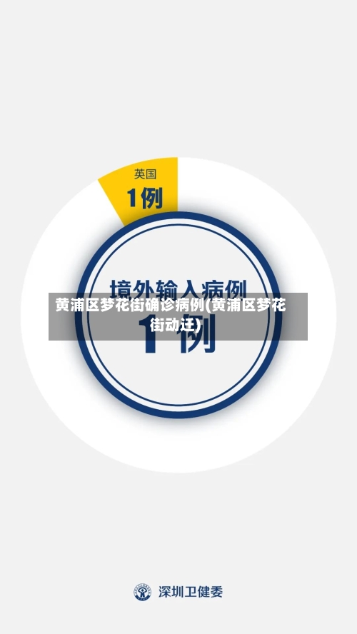 黄浦区梦花街确诊病例(黄浦区梦花街动迁)