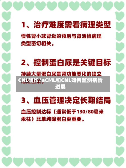 CNL确诊/aCML和CNL如何监测病情进展-第3张图片