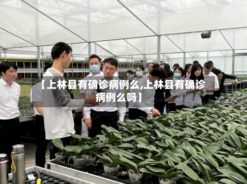 【上林县有确诊病例么,上林县有确诊病例么吗】-第2张图片