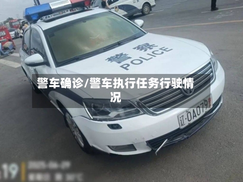 警车确诊/警车执行任务行驶情况