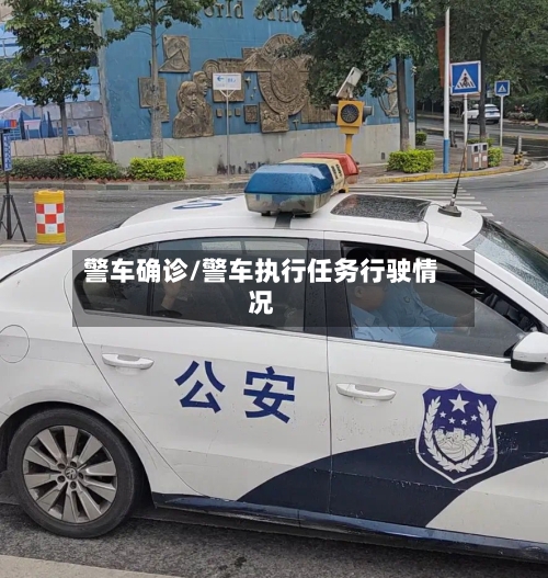 警车确诊/警车执行任务行驶情况-第2张图片